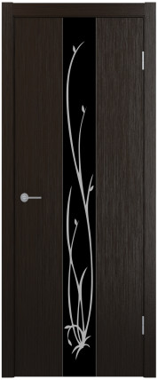 Дверь ST13 ДО черный с рисунком 800*2000 Венге