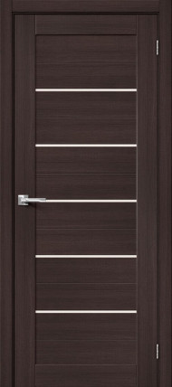 Дверь Порта-22